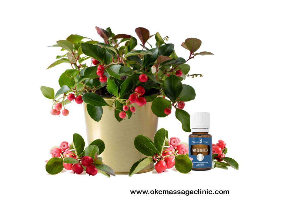Wintergreen Essential Oil Benefits Okc Massage Clinic